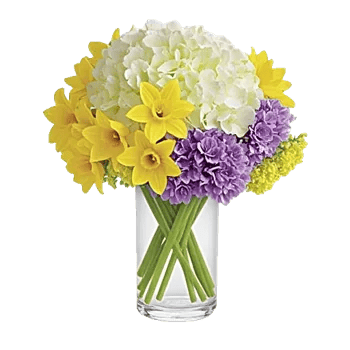 Ivory Blossom Radiance