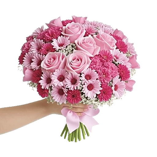 Pastel Pink Roses