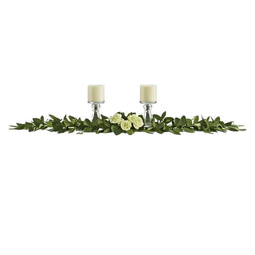 Ivory Blossom Radiance