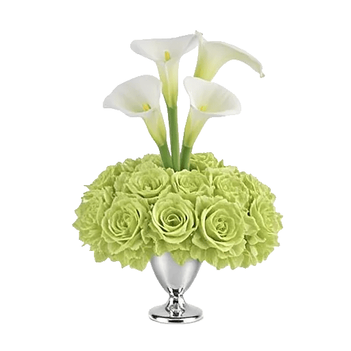 Elegant Calla Lilies