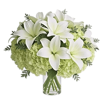 Ivory Blossom Radiance