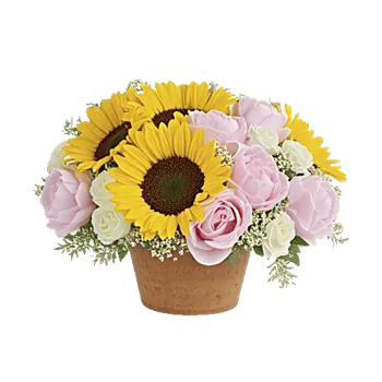 Amber Sunflower Glow