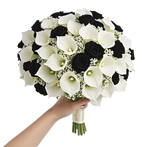 Elegant Calla Lilies