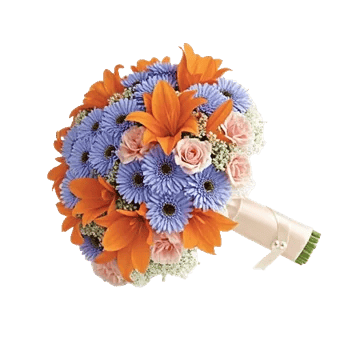 Blushing Rose Symphony