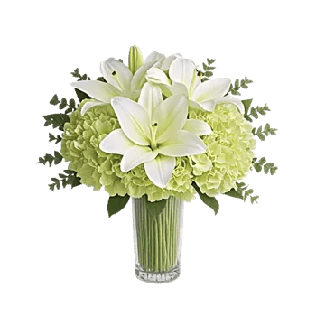 Ivory Blossom Radiance