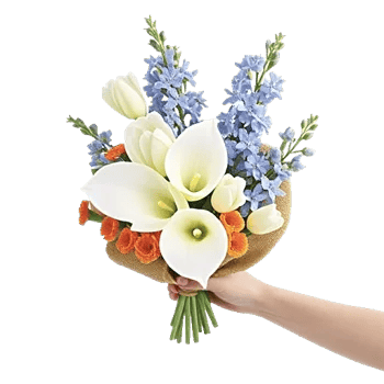 Elegant Calla Lilies