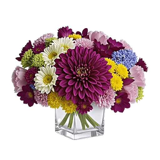 Petal Radiance Bliss