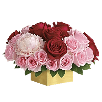 Crimson Rose Elegance