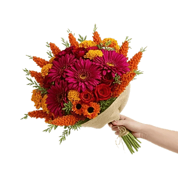 Scarlet Beauty Fusion