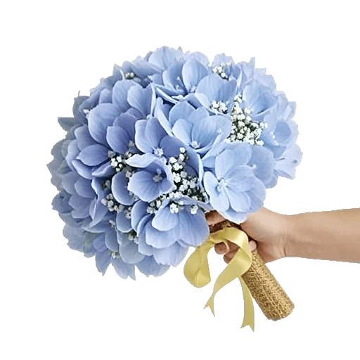 Sapphire Bloom Whisper