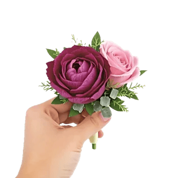 Plum Blossom Radiance