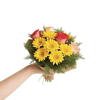 Blossom Harmony Display