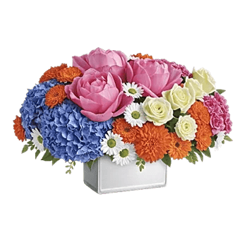 Petal Radiance Bliss