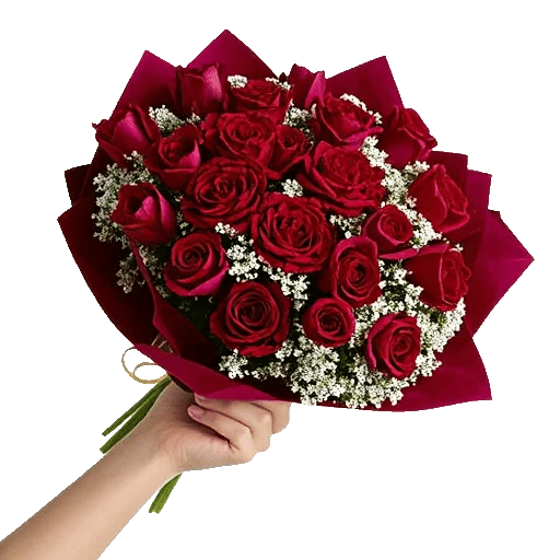 Crimson Rose Elegance
