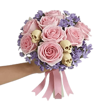 Pastel Pink Roses