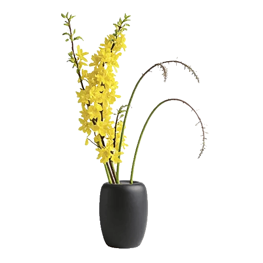 Ivory Blossom Radiance