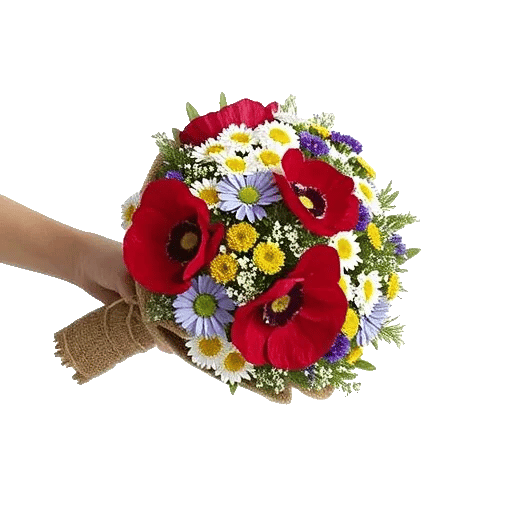 Blossom Petal Serenity