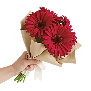 Petal Harmony Bliss