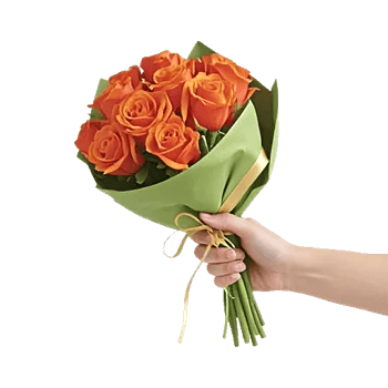 Golden Rose Radiance