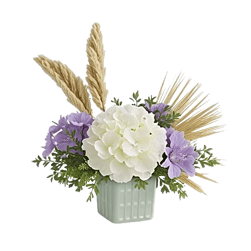 Ivory Blossom Radiance