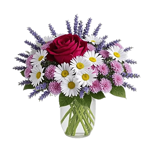 Crimson Rose Elegance