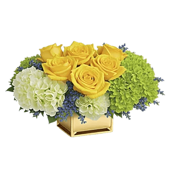 Ivory Blossom Radiance