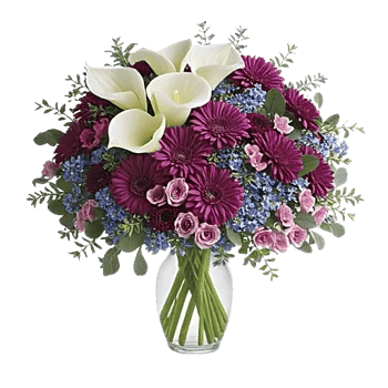 Elegant Calla Lilies