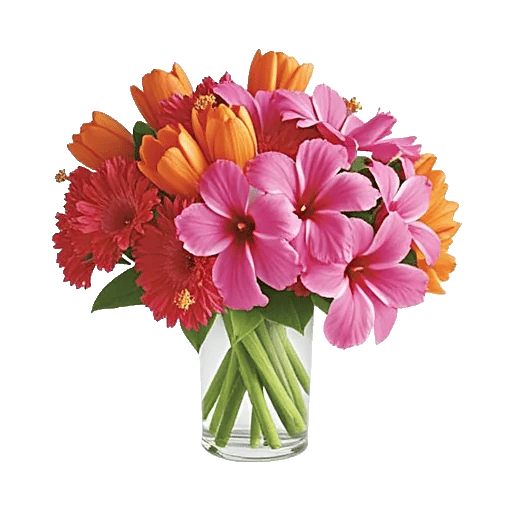 Petal Radiance Bliss