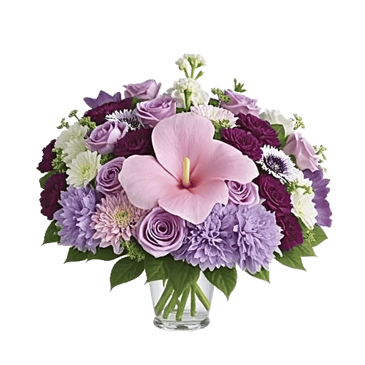 Modern White Orchids