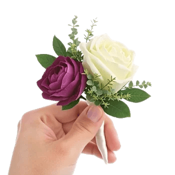 Plum Blossom Radiance