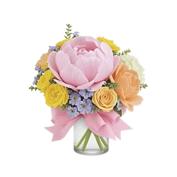 Petal Radiance Bliss