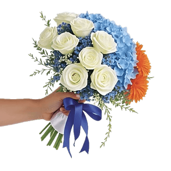 Serene Petal Harmony