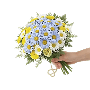 Pastel Blossom Grace