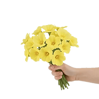 Blossom Harmony Display