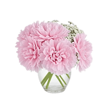 Delicate Petal Cascade