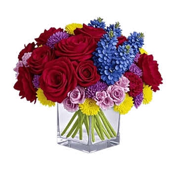 Petal Radiance Bliss