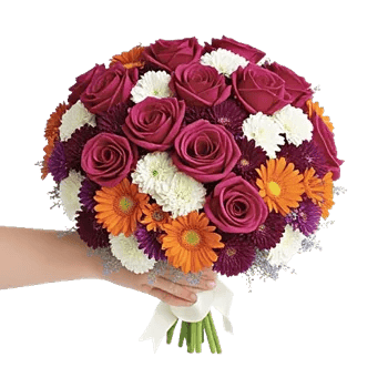 Blushing Rose Symphony