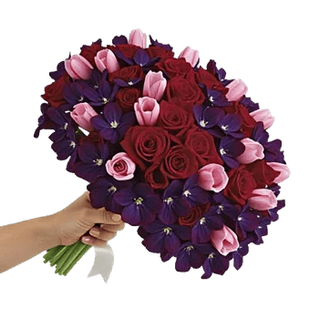 Velvet Tulip Display