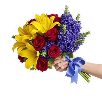 Blossom Harmony Display