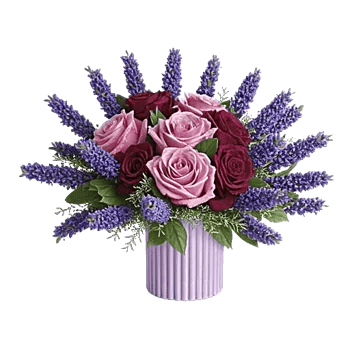Lavender Bloom Grace