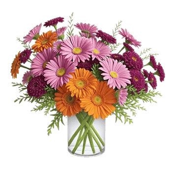 Vibrant Orange Delight