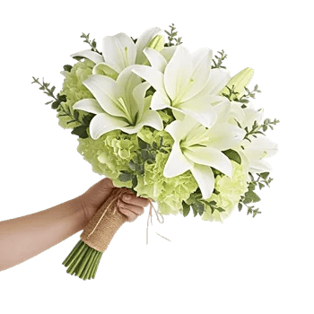 Ivory Garden Grace