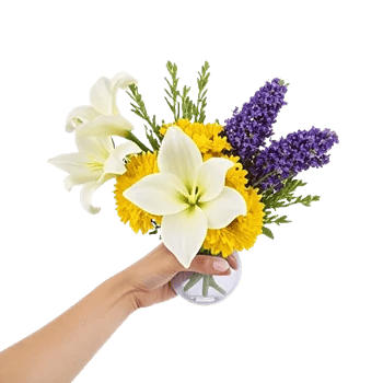 Ivory Blossom Radiance