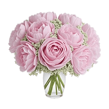 Petal Radiance Bliss