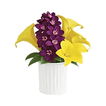 Modern White Orchids