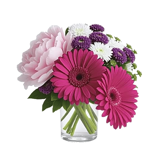 Petal Radiance Bliss