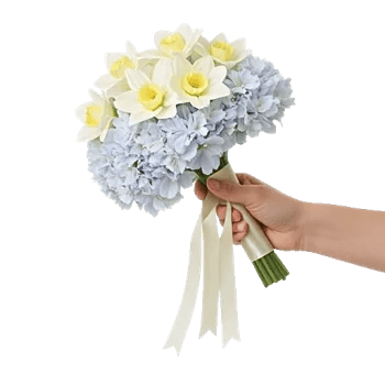 Ivory Blossom Radiance