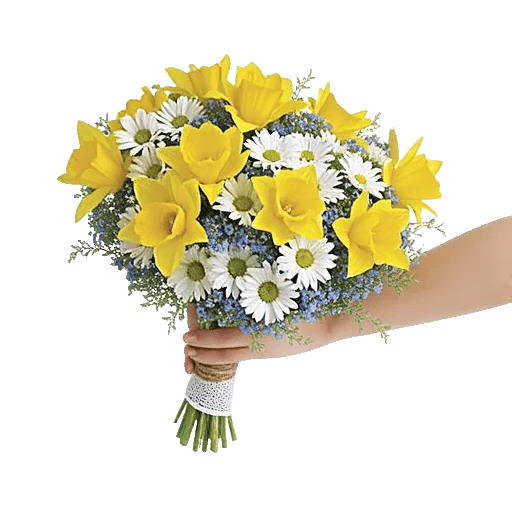 Blossom Harmony Display