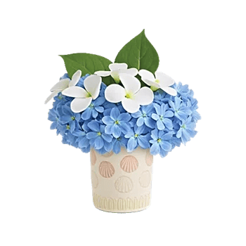 Minimalist White Orchids