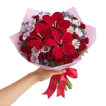 Crimson Rose Elegance